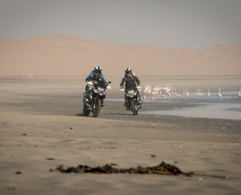 BMW Motorrad GS Trophy 2024 Namibie - Follow the Trails - BERRT flamingos aan het strand
